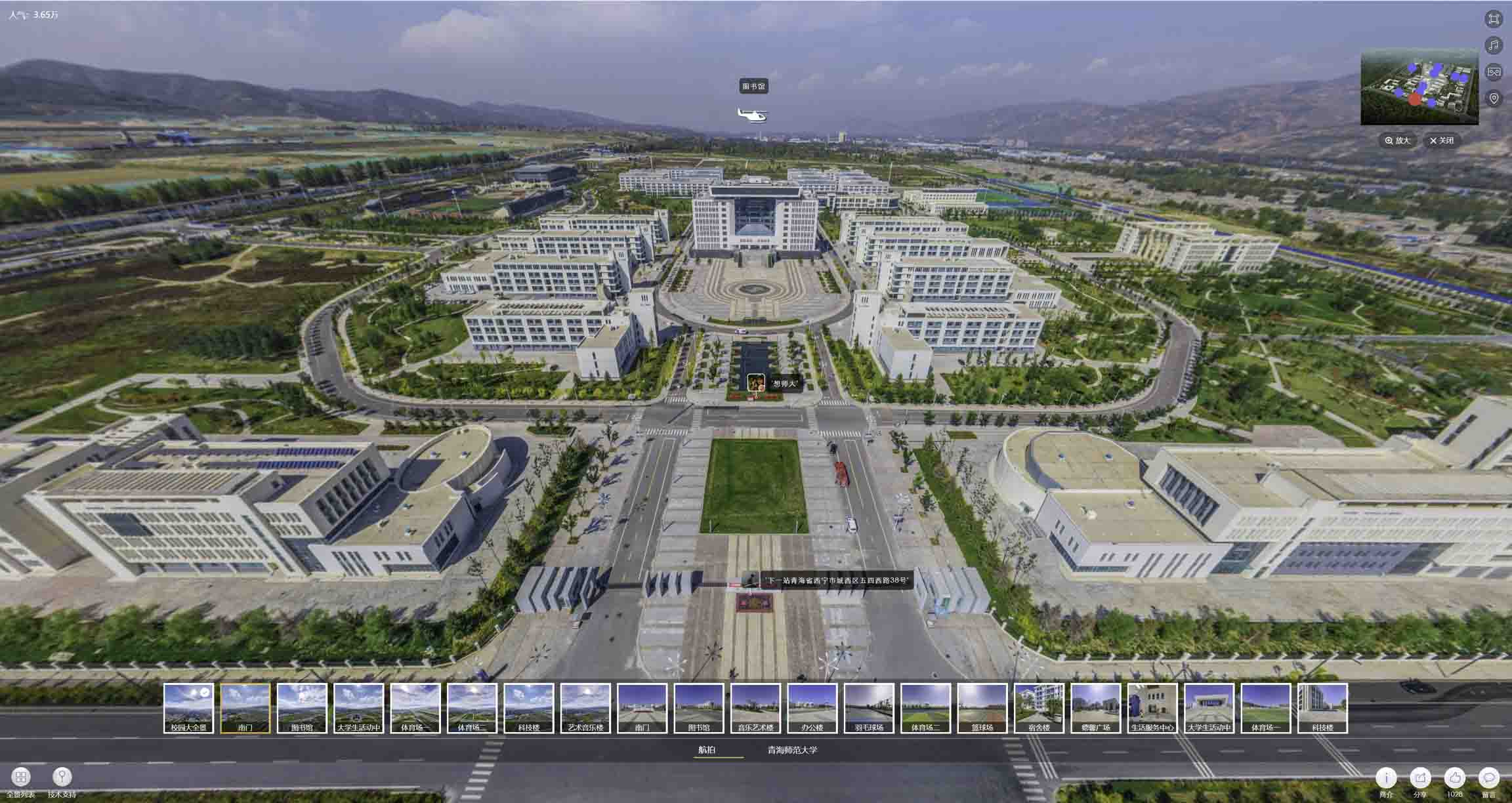 高要油菜花-惊艳半生的花海仙境